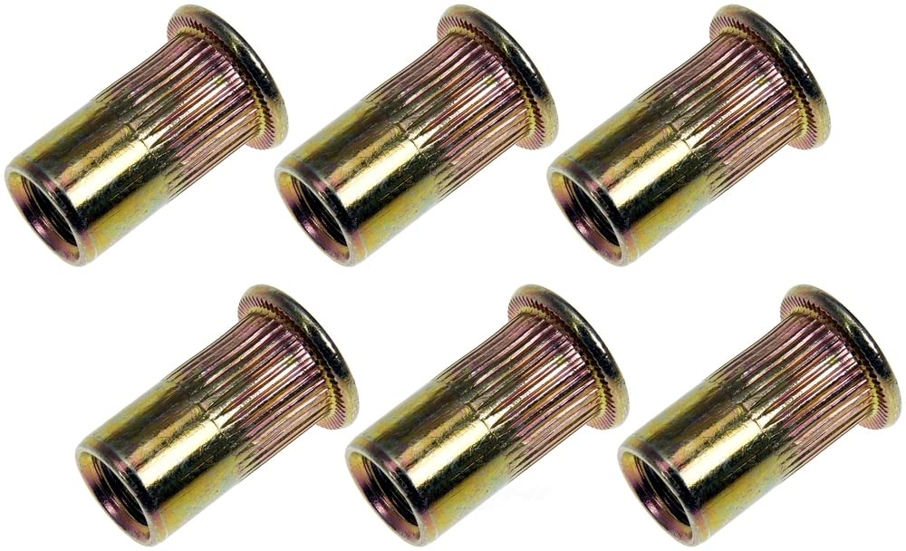 Dorman 963-255D: Rivet Nut - M8