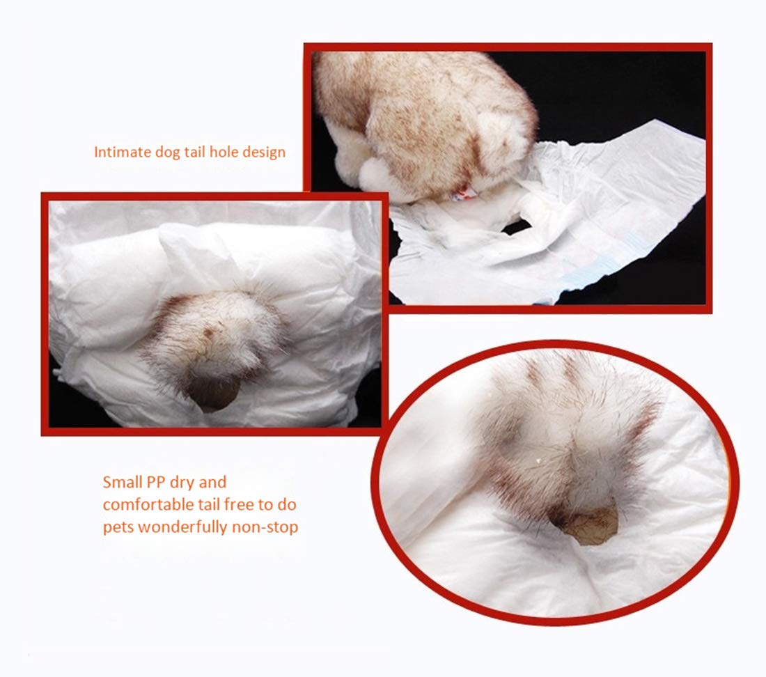 Suministros para Mascotas Pañales Desechables de 10 Hojas Espesar Agua Absorber Pañales para Mascotas para Perros Mujer Perro Incontinencia Pantalones