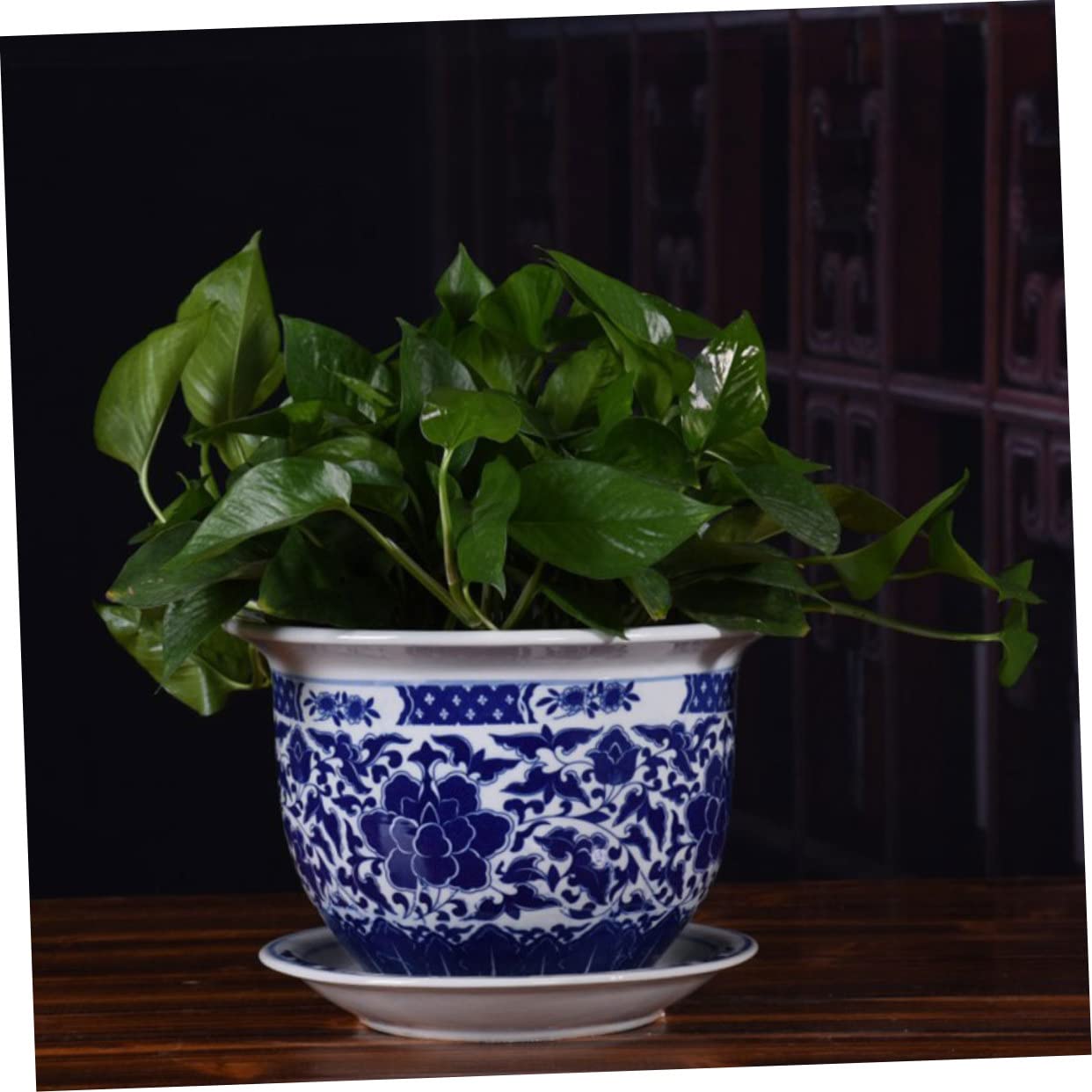 Amazon.co.jp: 青と白のセラミックプランター 蘭用植木鉢 屋内植物用