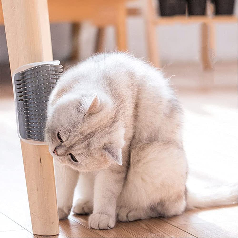 4 Pièces Brosse d'Angle de Toilettage pour Chat, Peigne de Massage de Coin, Outil d'Auto Massage, pour Fourrure Longue et Courte (Gris)