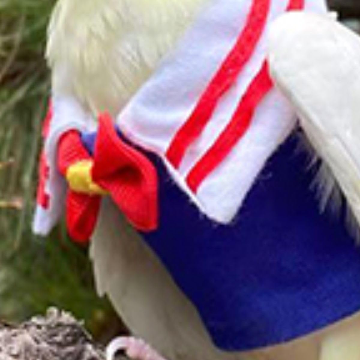 Bird Costume Bird Diaper Flight Suit Bird Summer Clothes Cosplay Photo Prop for Parrots Lovebird Parakeet Cockatiel Small Animals Apparel (XL)