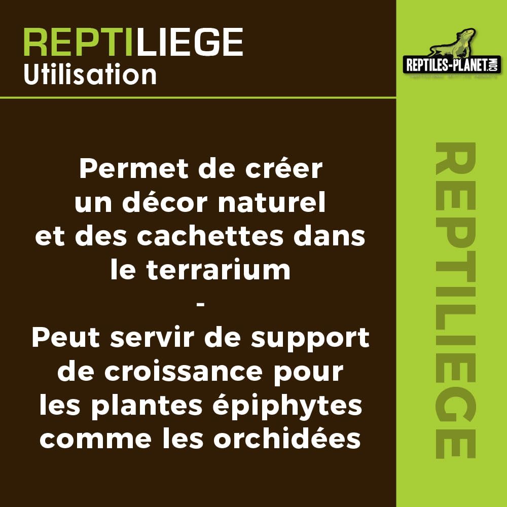 Reptiles Planet - Reptiliège - Assortiment de Liège pour Décoration de Terrarium - 10 litres