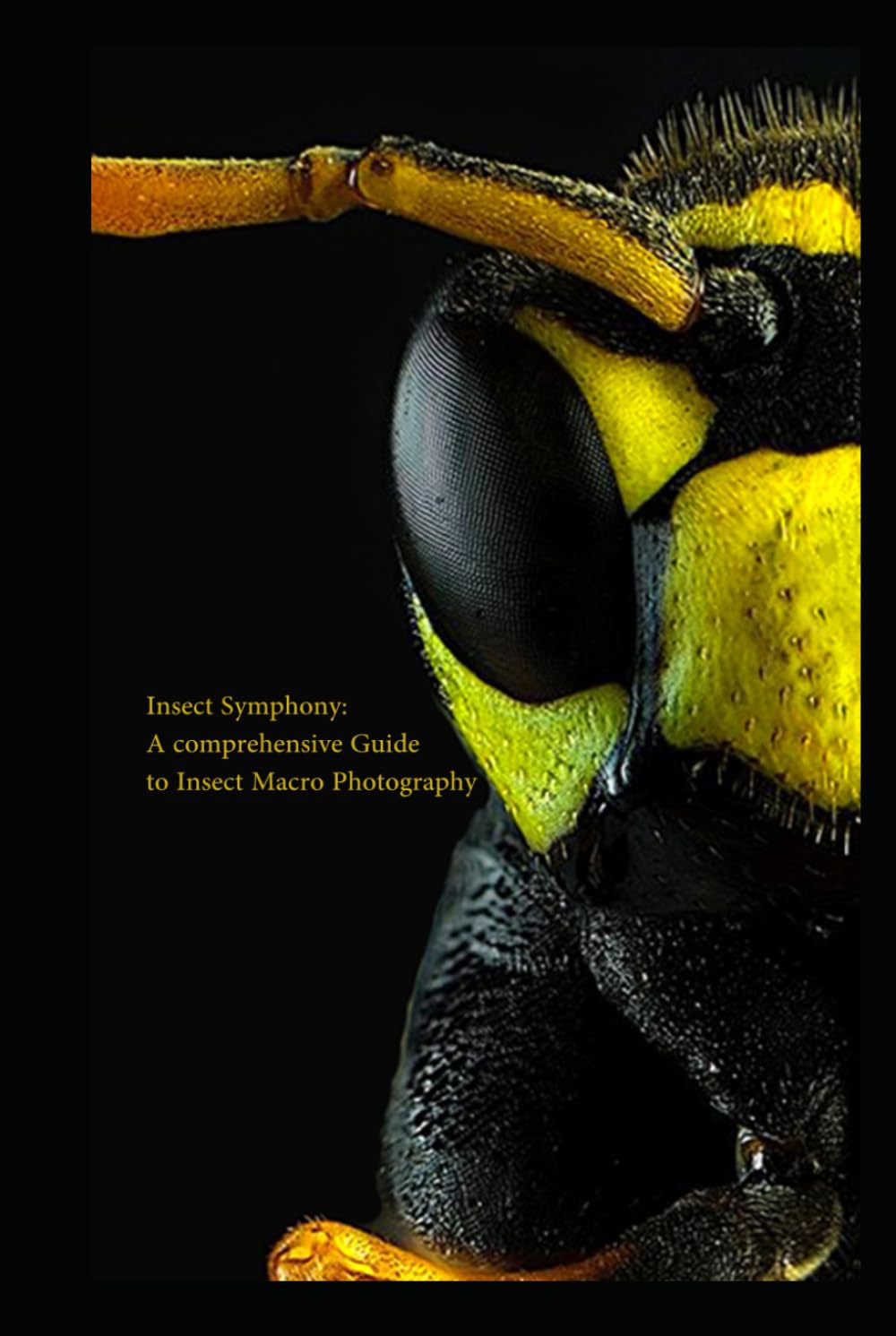 Insect Symphony: A Comprehensive Guide to Insect Macro Photography (Macro Photography Guide)