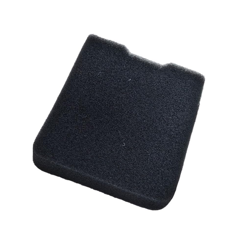 Filtre pour souffleur dorsal 155BT et BP400 idéal pour le nettoyage des grandes allées