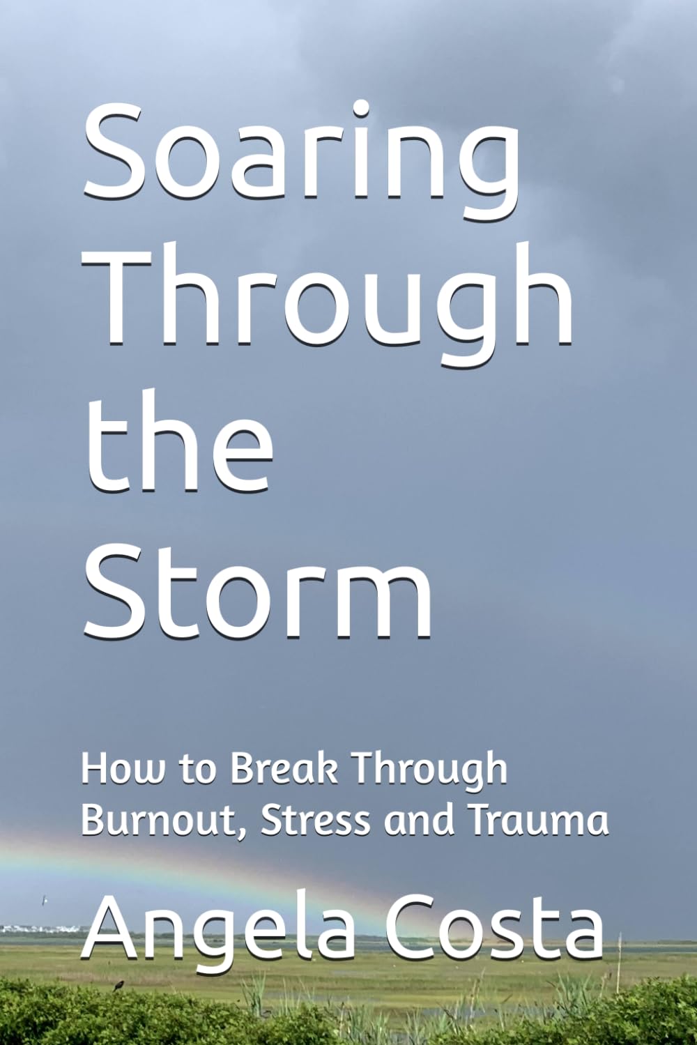 Soaring Through the Storm: How to Break Through Burnout, Stress and Trauma