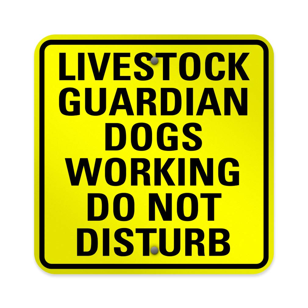 Aluminum Square Metal Sign Multiple Sizes Livestock Guardian Dogs Working Do Not Disturb Activity Yellow Beware of with Border Weatherproof Street 18x18Inches