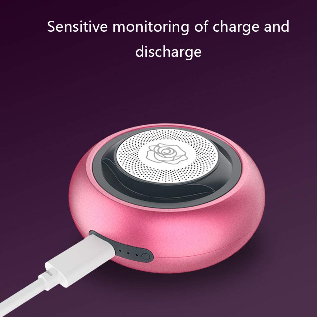 RajoNN Scaldamani USB Portatili, Mini Aromaterapia, Scaldamani Elettrico Ricaricabile Tascabile, Power Bank Portatili a Riscaldamento Rapido, Migliori Regali per Il Freddo Inverno Scaldamani