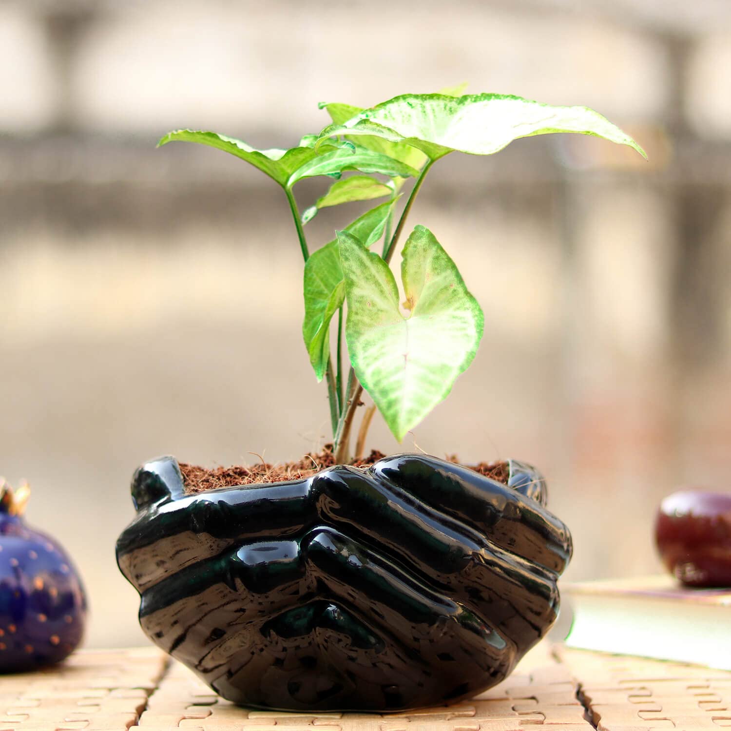 Lasaki Hand Ceramic Pots for Indoor Plants, Planters, Flower Pot Living Room Home Decor Office Tabletop Desk Garden (Color: Black)(Plants not included) (B09NN76BPP) Amazon Price History, Amazon Price Tracker