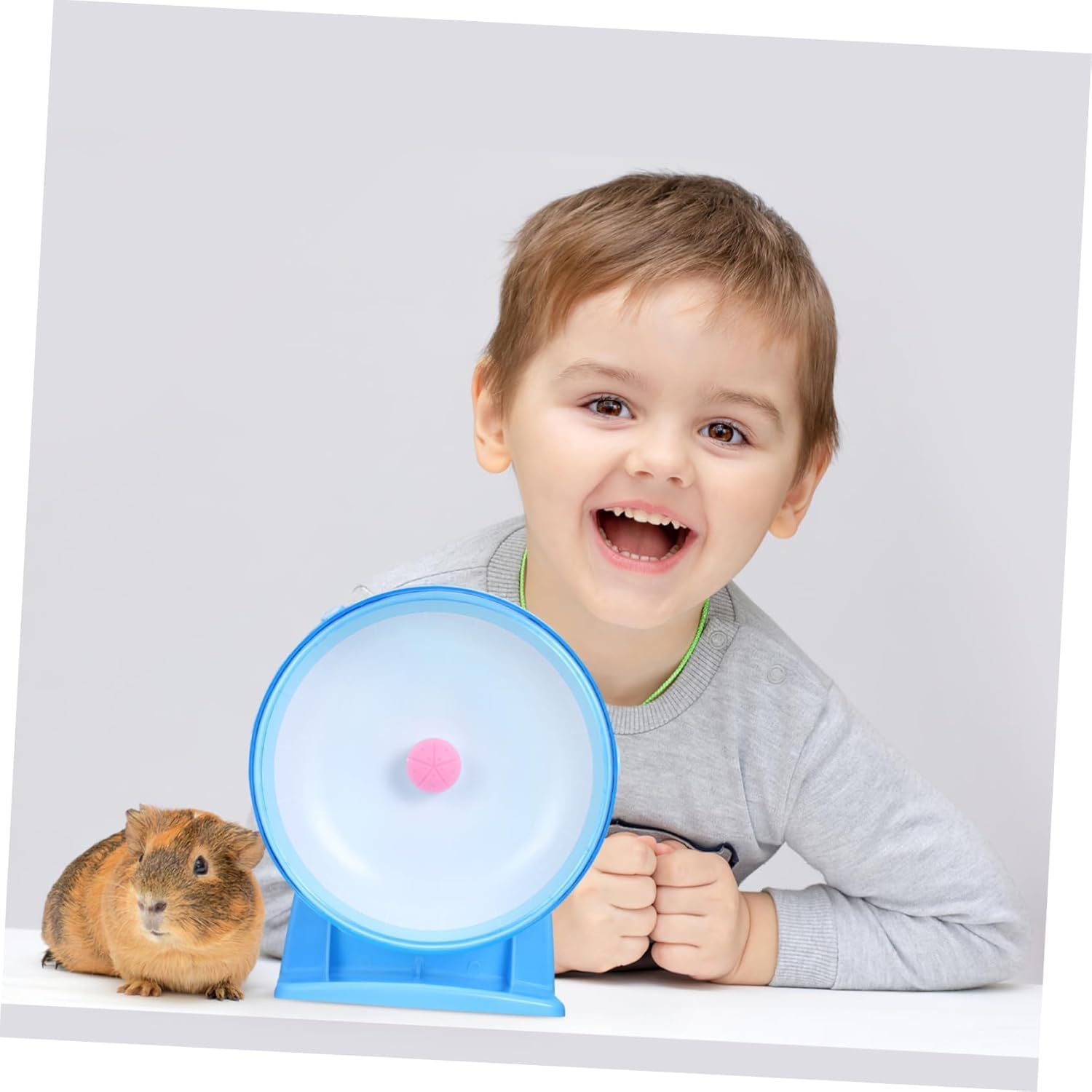 Pets Wizard - 14 Cms / 5.5 Inches Jumbo Running Exercise Wheel for Hamster/Dwarf/Gerbil/Mice with Cage Attachment Knob & Stand (Multicolour) 1 Piece (Please Refer Product Instalation Video) 1