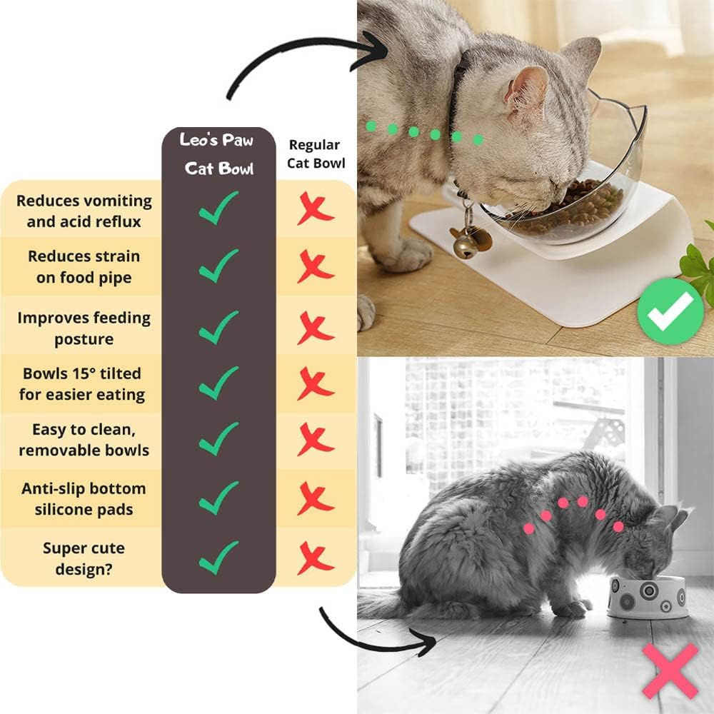 Leo's Paw Anti-Vomiting Orthopedic Cat Bowl Elevated 15° Tilted Cat Food and Water Bowls for Better Digestion Raised Stand with Non-Slip Bottom Detachable Feeding Bowl (Double Clear)