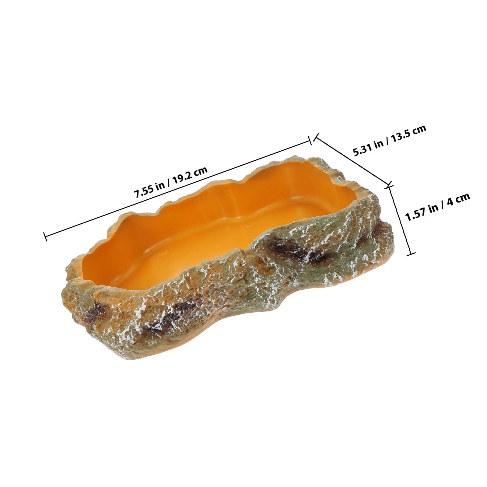 ibasenice Bol Eau Reptiles Taille M Gamelle Nourriture pour Lézards et Tortues Accessoires pour Terrarium Décoration Paysagère