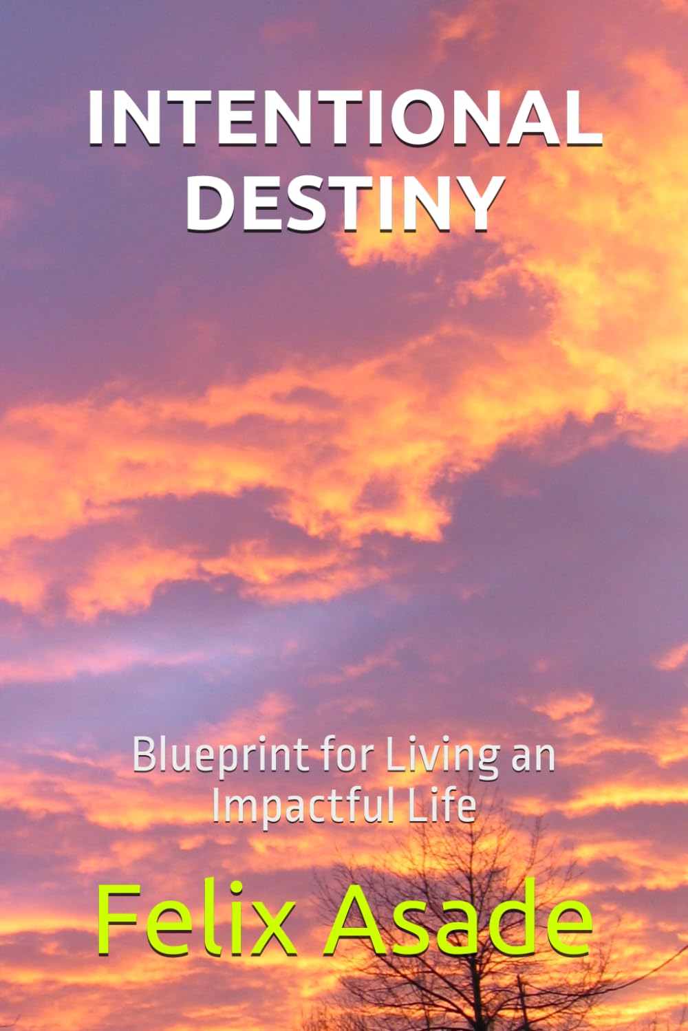 INTENTIONAL DESTINY: Blueprint for Living an Impactful Life