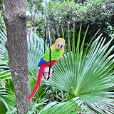 Parrot Statue 11 Inch Tropical Sculpture for Lawn,Patio Yard Art Decoration
