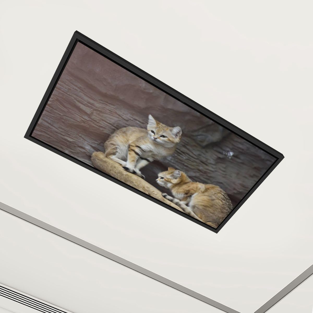 4 Pack Fluorescent Light Covers Sand cat Decorative Magnetic Ceiling Light Covers Light Shade Panel for Classroom Office 4 x 2 ft