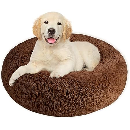 small washable dog bed