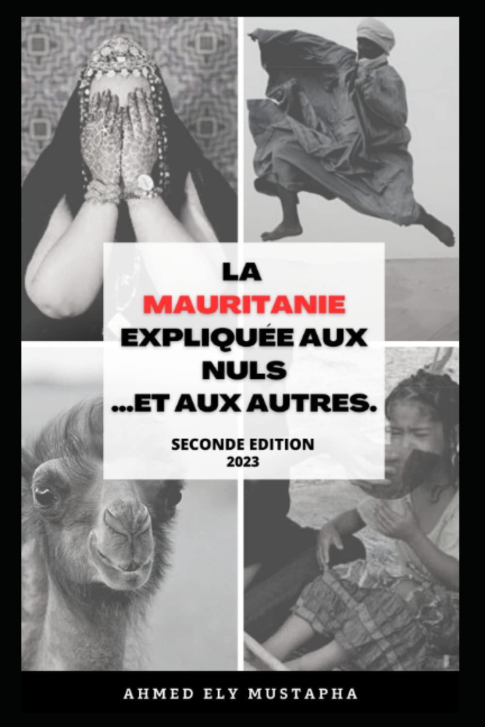 La Mauritanie expliquée aux nuls …et aux autres.