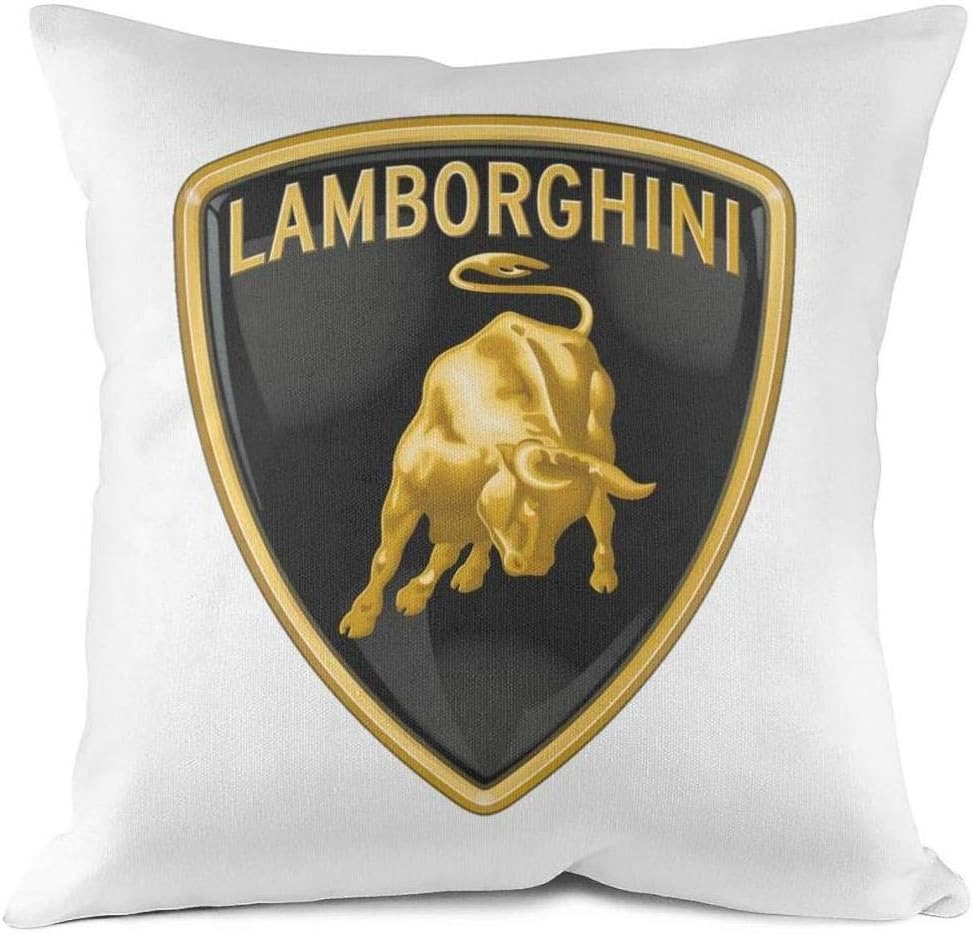 Retro Soft Home Decorative 18 x 18 45 x 45 Square Throw Pillow Cover Cushion Case for Couch Sofa Car Bedroom