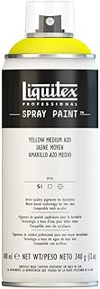 Liquitex Professional Spray Paint, 12-oz (400ml), Yellow Medium Azo