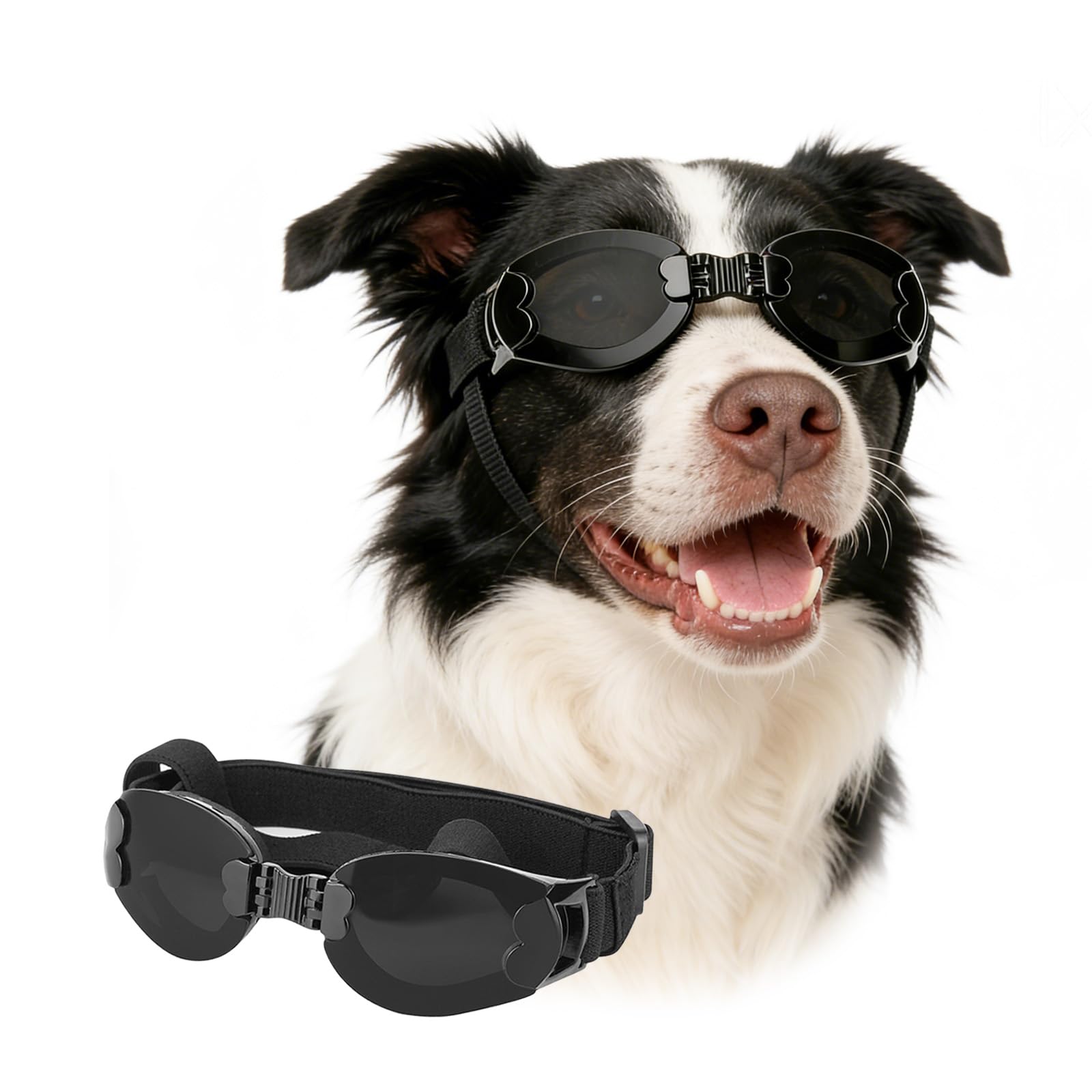 Lunettes de soleil pour chiens protection UV portables et pliables noir