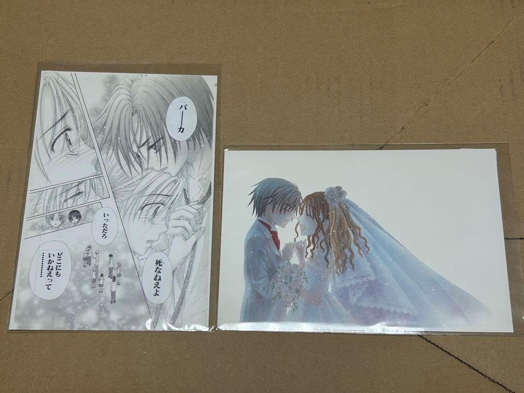 未使用 フェイラー/FEILER 花柄 母子手帳ケース ダークグレー 未使用