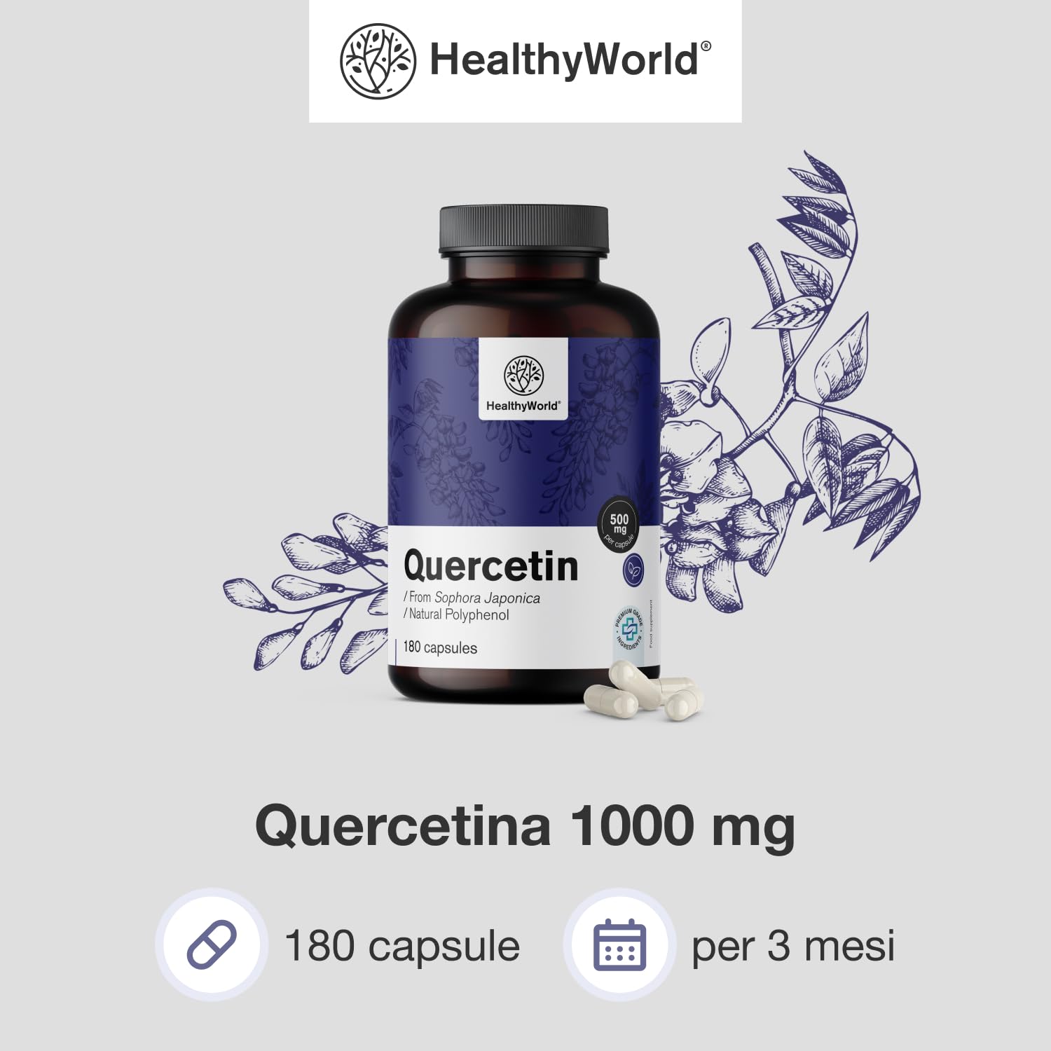 HealthyWorld Quercetina 1000 mg – 180 Capsule Vegetali – Dall'estratto dei fiori di sophora del Giappone – Alto Contenuto di 1000 mg per Capsula – Senza OGM e allergeni – Scorta per 3 mesi