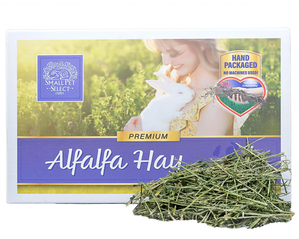 Small Pet Select Alfalfa Hay Pet Food for Young Rabbits, Guinea Pigs, Chinchillas, Tortoises and Other Small Animals, Easy to Store Box, 20lb (9.07kg)