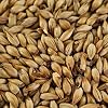 1 kg caramel malt carared  for brown beers EBC 40-50
