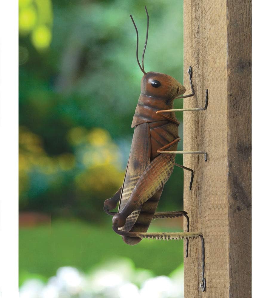 Bits and Pieces - Garden Grasshopper - Durable Garden Peeker Yard Art - Tree Sculpture Garden Decoration