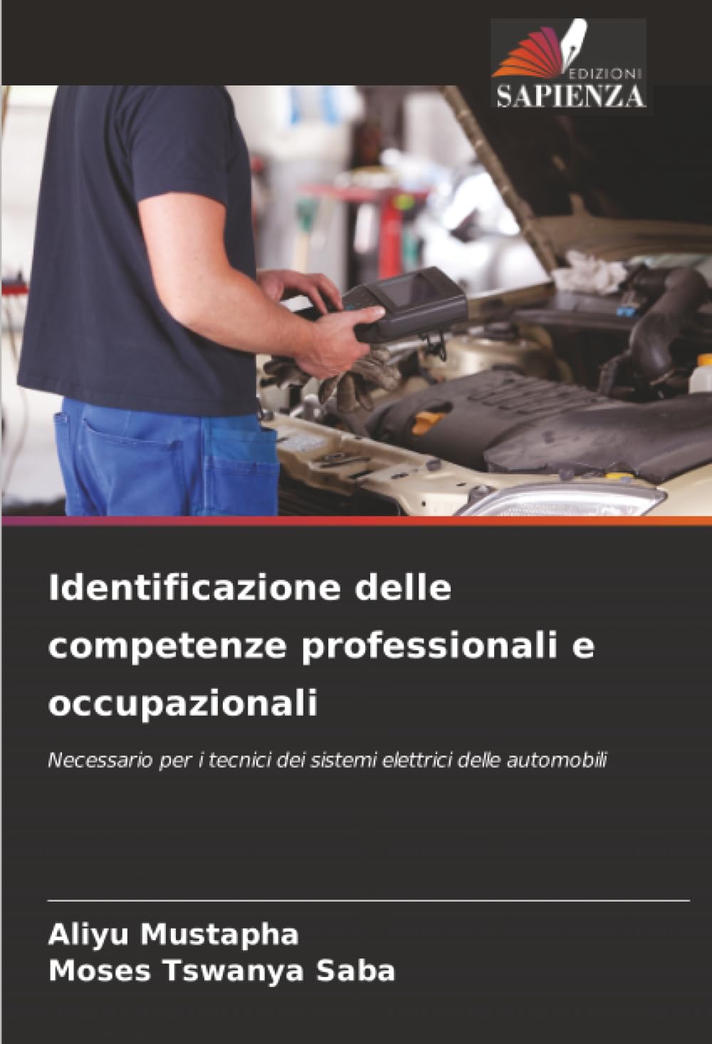 Identificazione delle competenze professionali e occupazionali: Necessario per i tecnici dei sistemi elettrici delle automobili