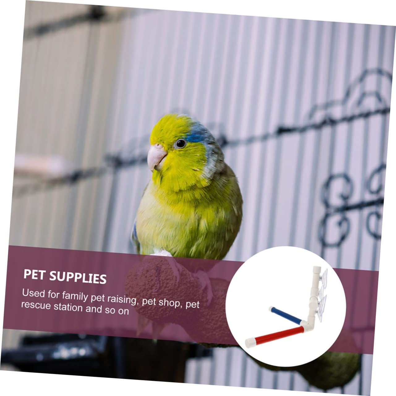BESPORTBLE 2juegos Perch para Pájaros Estación De Ducha para Periquitos y Aves Juguete Divertido y Entrenamiento Sin Instalación para Descanso y Ejercicio Accesorio para Jaulas De Aves