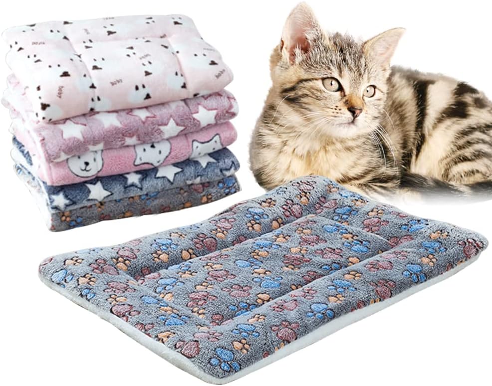 Cozy Calming Cat Blanket, 2023 Premium Small Blanket Plush
