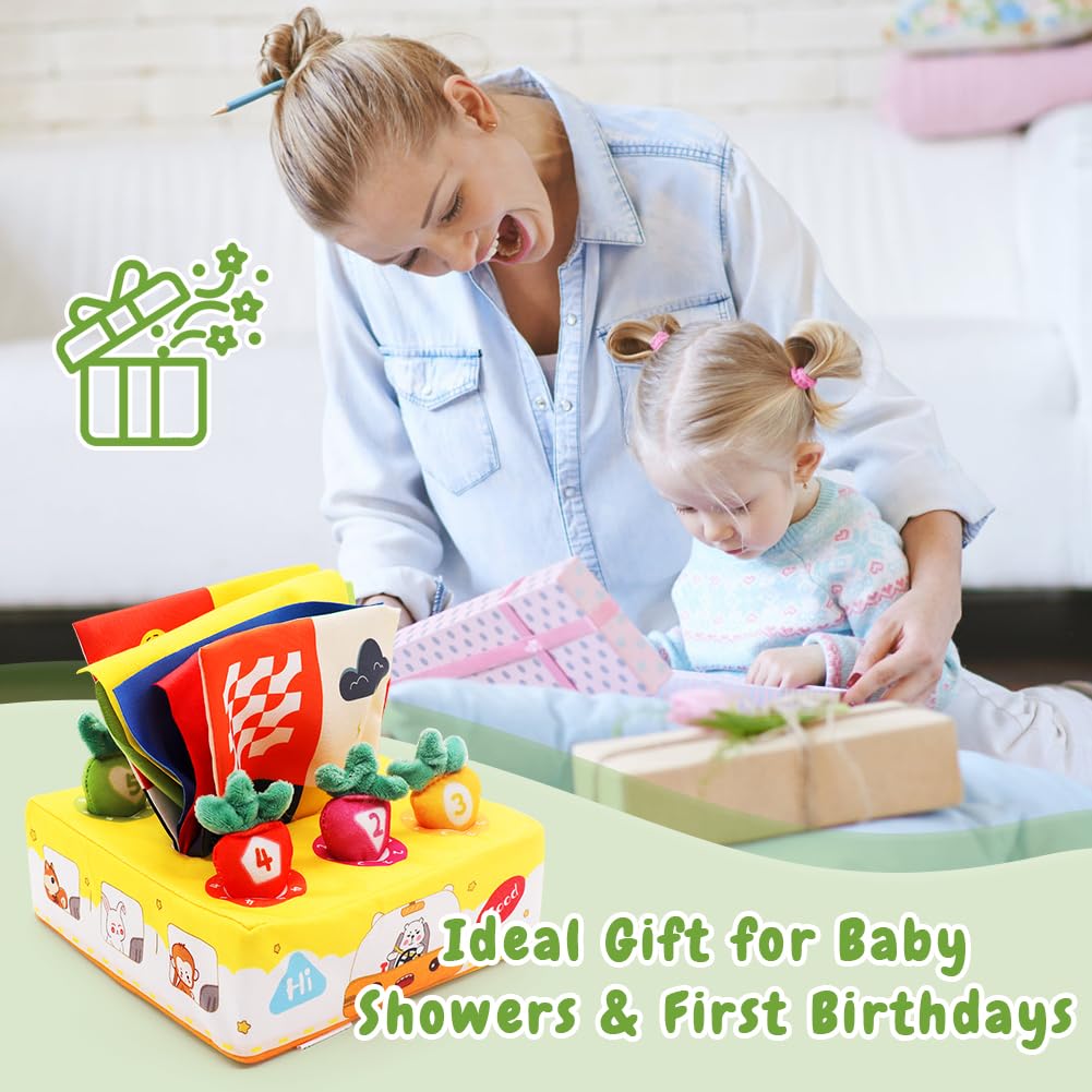 HYMBCFW Baby Sensory Tissue Box Toy, Sensory Toys for Babies with Soft Fruits,Soft Crinkle Toys for 6-12 Months - Image 3