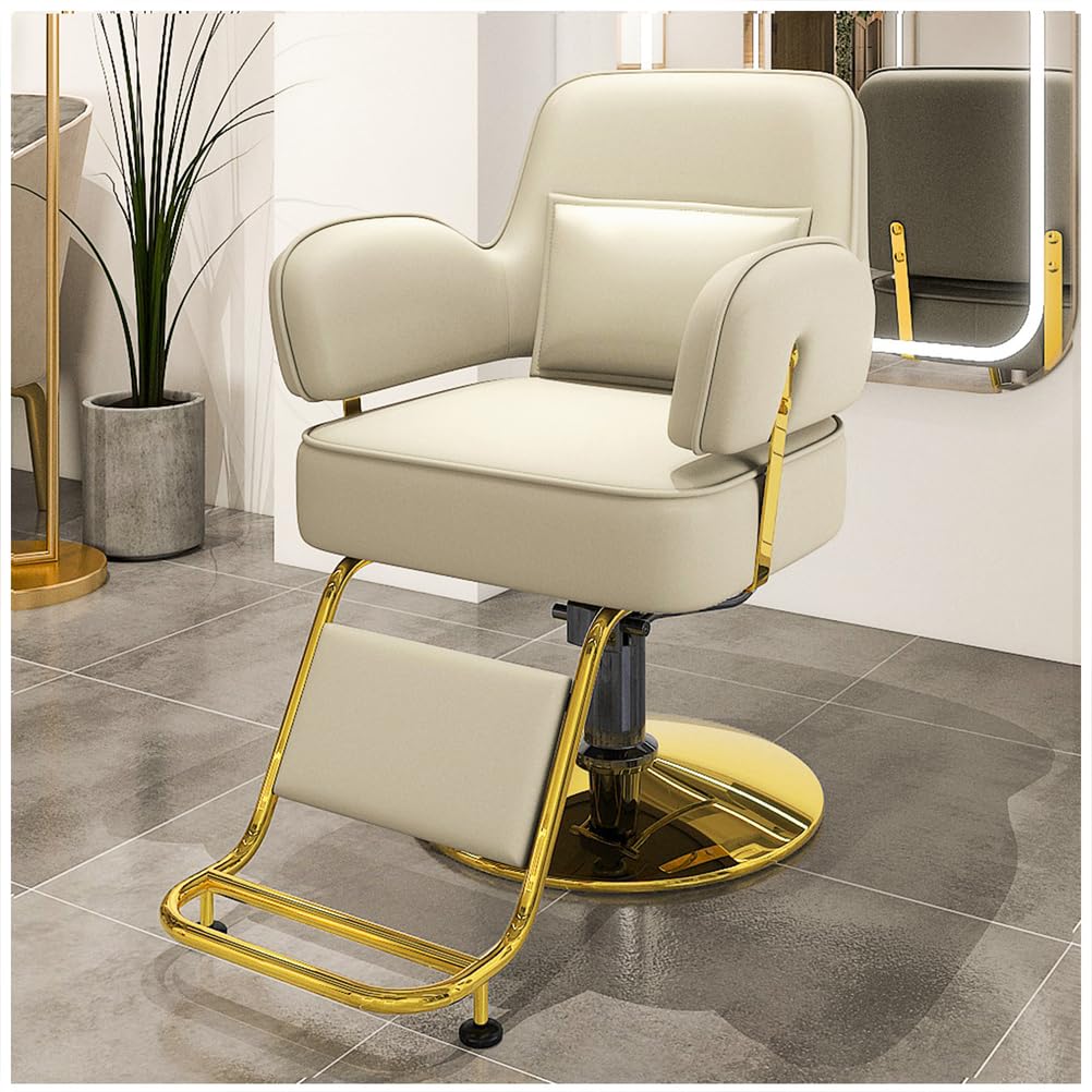 OZBMA Barber Chair, 360° Swivel Reclining Salon Height Adjustable Hydraulic Hairdressing Chair with Footrest for Beauty Salon, Hairdressers,Black,D (White A)