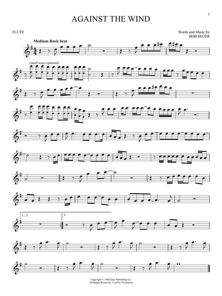 101 Simple Songs. Flöte Solo.: For Flute