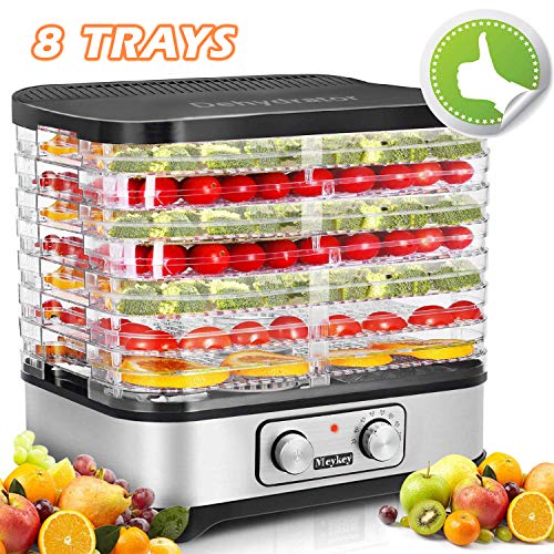 Best Dehydrator For Jerky 10 Tray