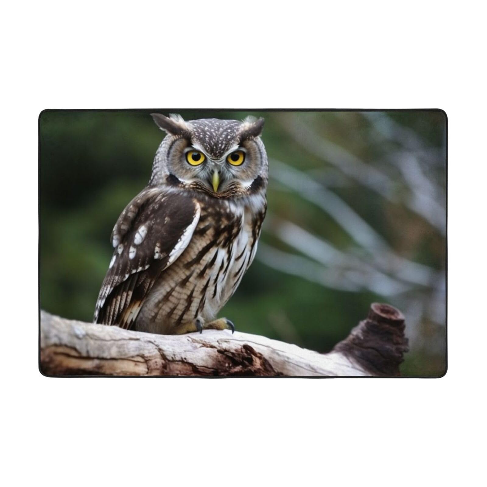 Tapis de bain flanelle haut de gamme au motif hibou sauvage