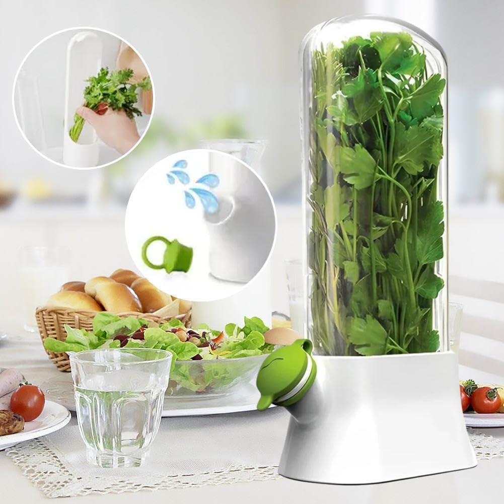 Contenitori per erbe fresche, contenitore per verdure ed erbe aromatiche, per coriandolo, prodotti freschi, frigoriferi, contenitori ermetici per alimenti, conservanti per erbe ecologiche