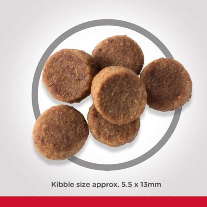 hills junior large breed