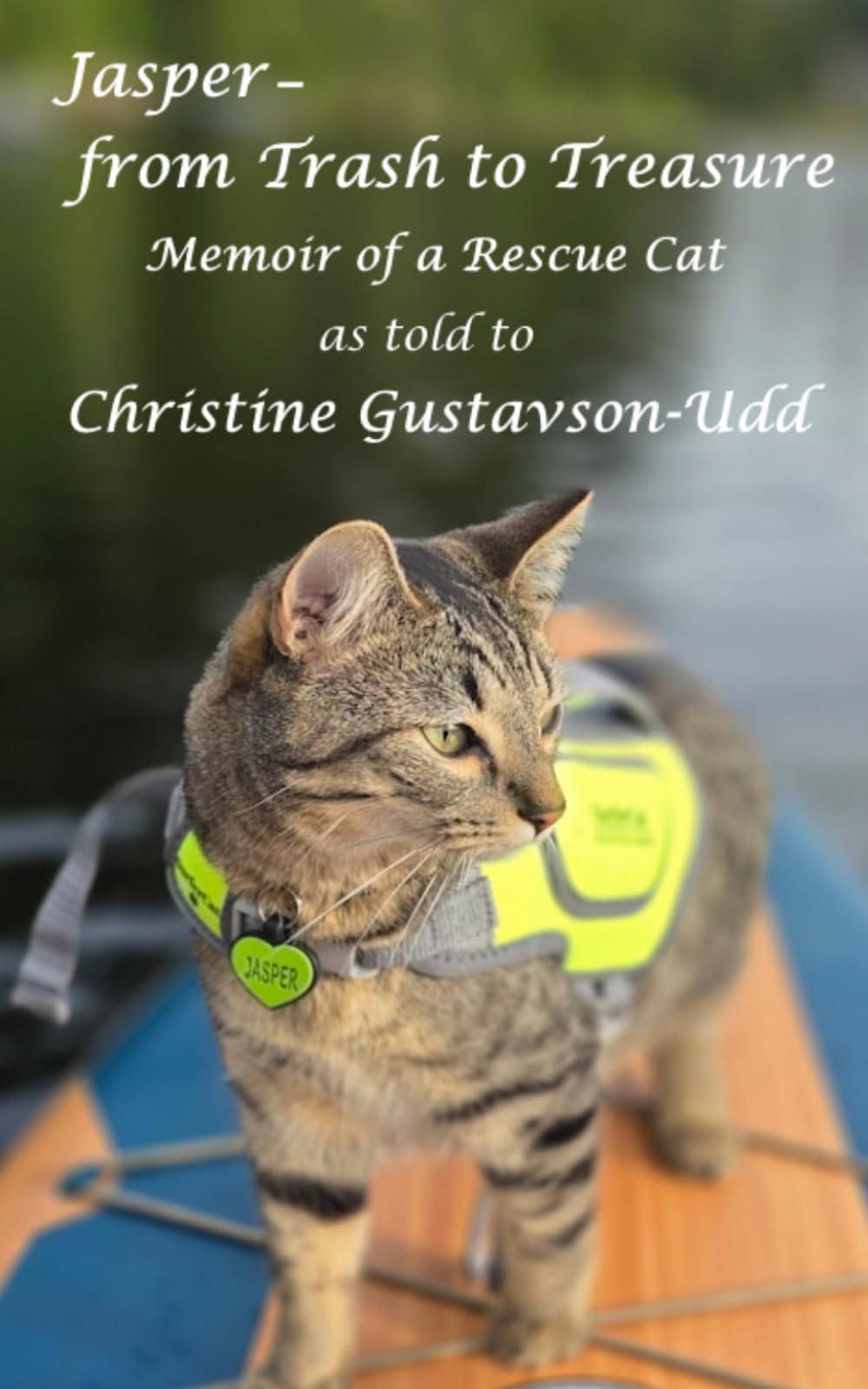 Jasper--from Trash to Treasure: Memoir of a Rescue Cat (Adventurous Cats)