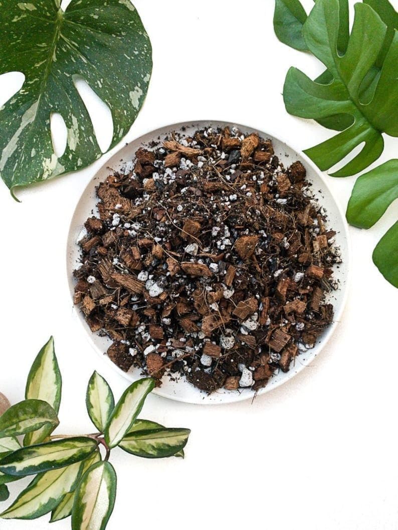 ANTHOM Premium Aroid Potting Soil Mix for Plants Like Philodendrons, Monsteras, Anthuriums, Alocasia, Hoya, Dischidia, Sensevieria, Etc | Tropical Plant Growth Booster | Foliage Booster (1600Gram) (B0CSSVVHSS) Amazon Price History, Amazon Price Tracker