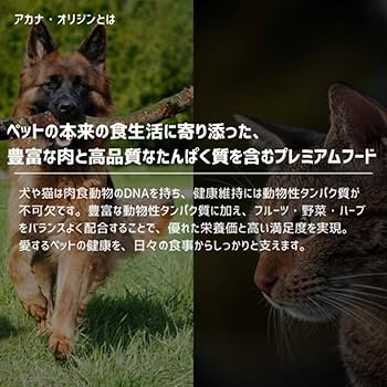 アカナランチランドドックレシピ11.4キロ アカナ ランチランドドッグレシピ ACANALR2-00 | アカナ | GREEN