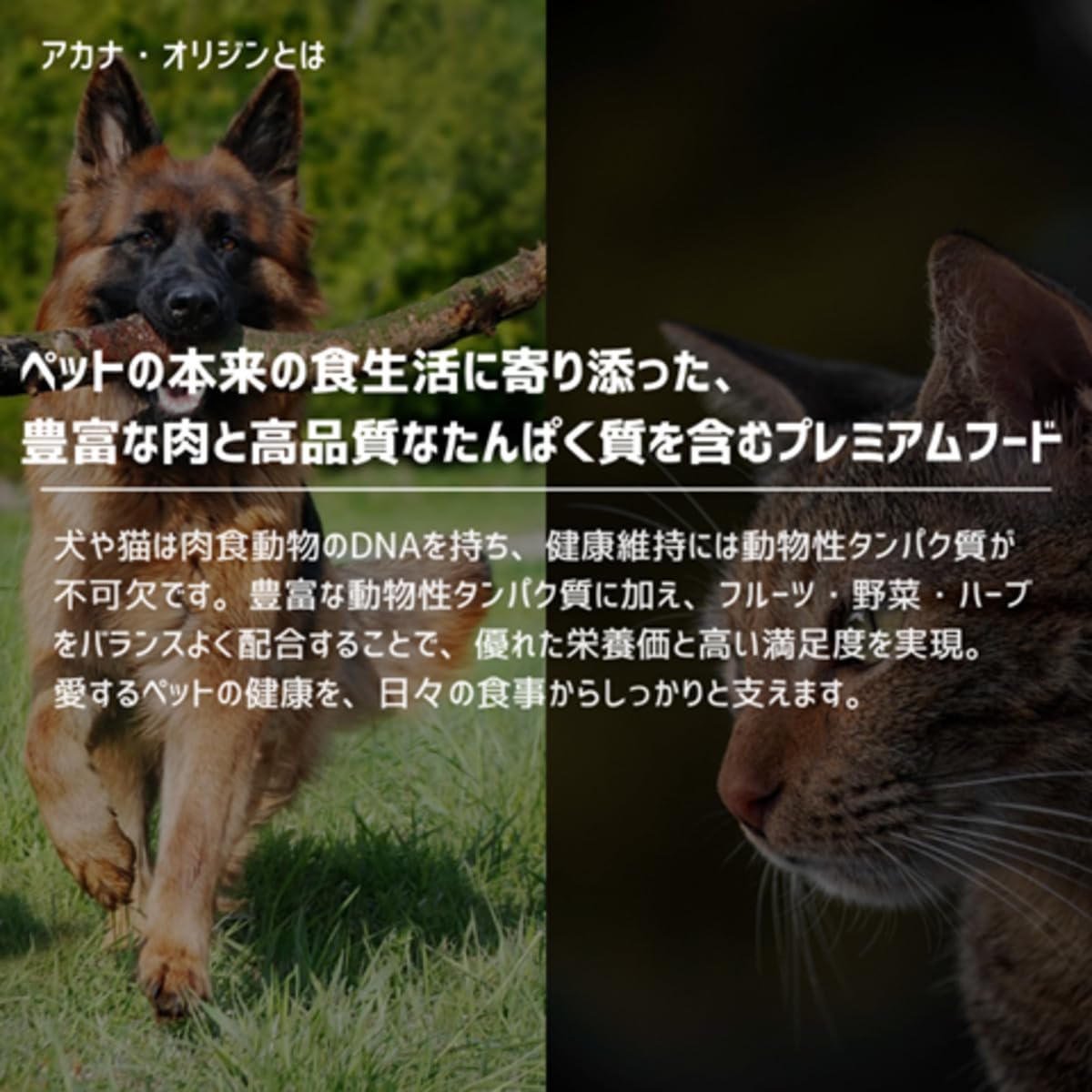Amazon.co.jp: アカナ ランチランド レシピ 全犬種 全年齢用