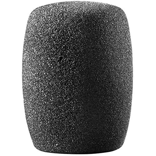 Audio-Technica Microphone Windscreen (AT8112)