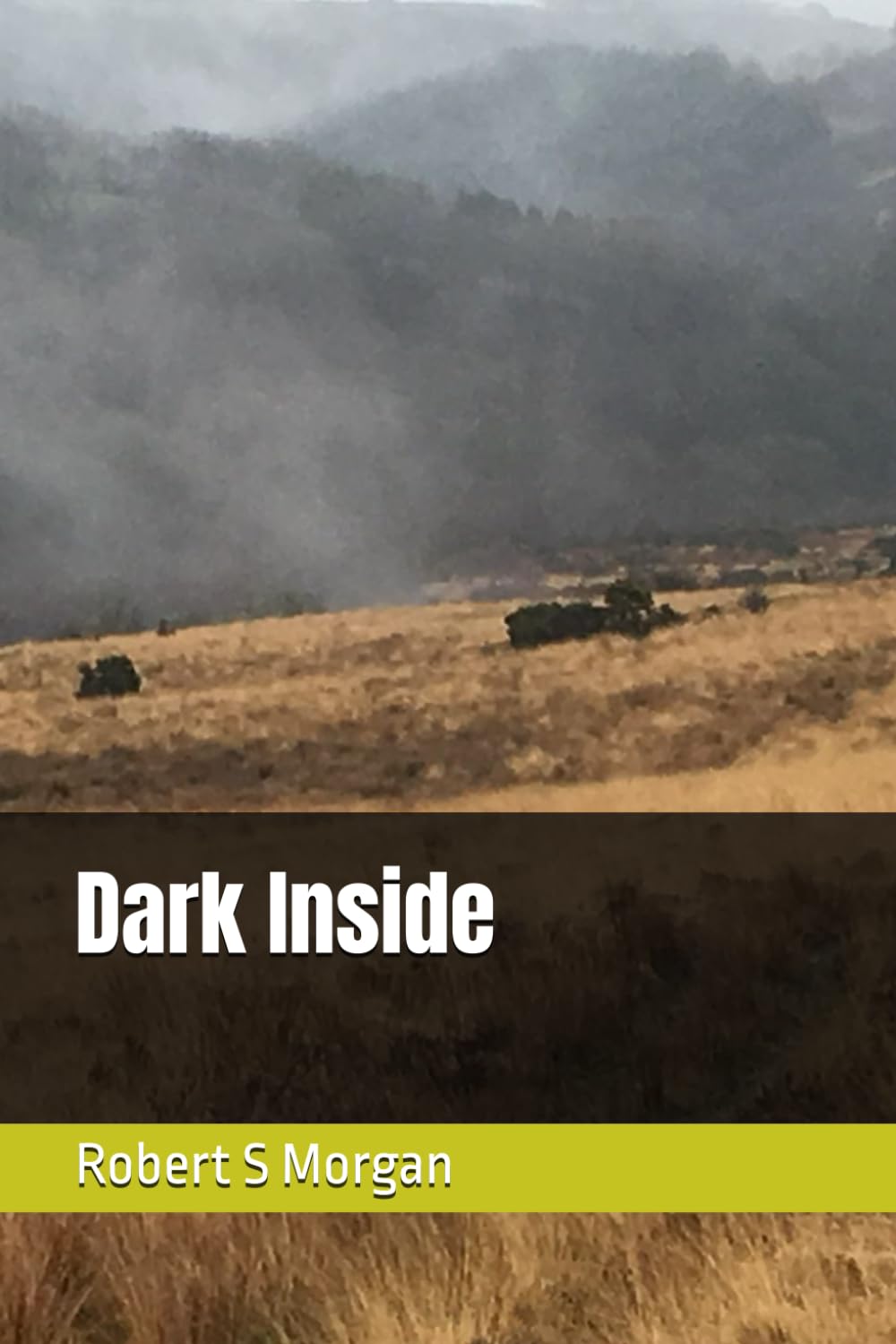 Dark Inside