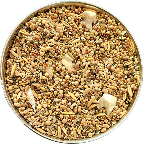 The-Birds-Company-Premium-Seed-Blend-of-6-Grains-Fortified-with-Spirulina-Bird-Food-for-Finches-Waxbills-450-g