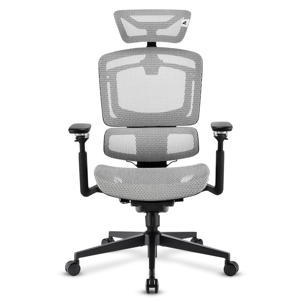 Sharkoon Officepal C50m B?rostuhl SchwarZ-Grau Gepolstert Netzr?ckenlehne 120 kg