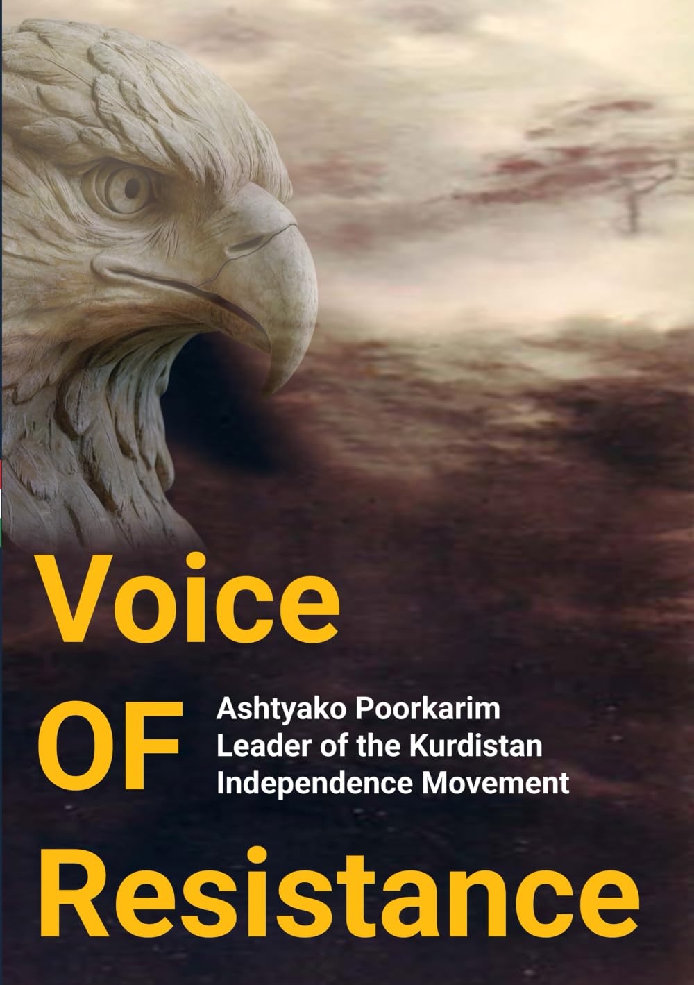 Voice of Resistance: The Kurdish Struggle for Freedom and Self-Determination in the Middle East