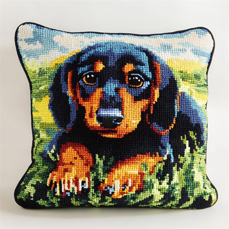 Latch Hook kit débutant coussin broderie canevas point noué animal Teckel
