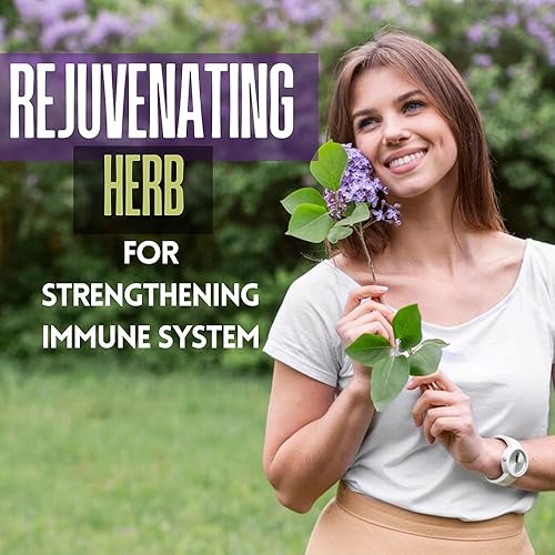 Miniatura 6 de Cápsulas Amla (Phyllanthus Emblica) - Amalaki amla 120 cápsulas  Superalimento antioxidante natural  Suplemento herbario hecho con polvo de fruta