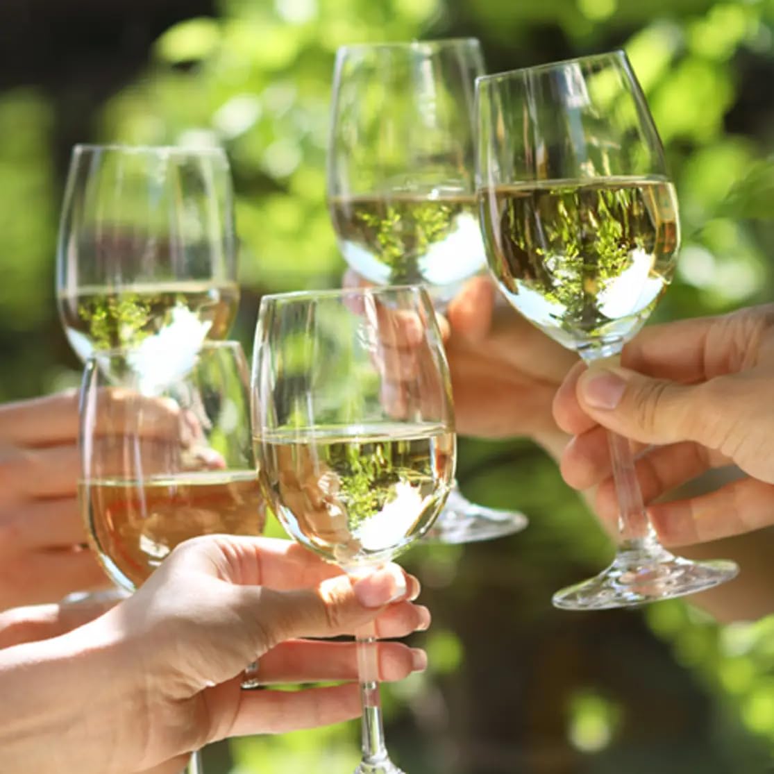 Grand Sud - Vin Blanc désalcoolisé, Chardonnay sans alcool (6 x 1 L)